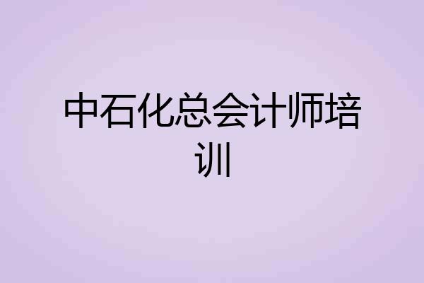 中石化总会计师培训