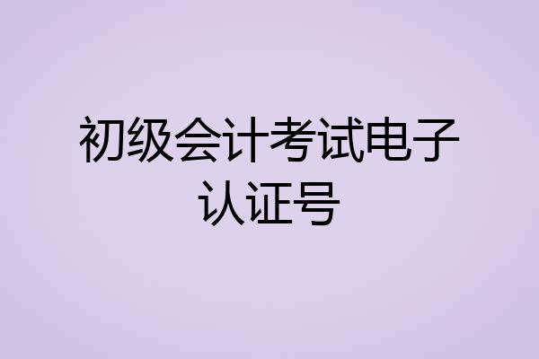 初级会计考试电子认证号