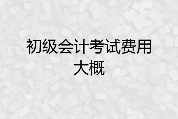 初级会计考试费用大概