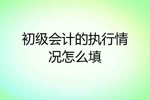 初级会计的执行情况怎么填