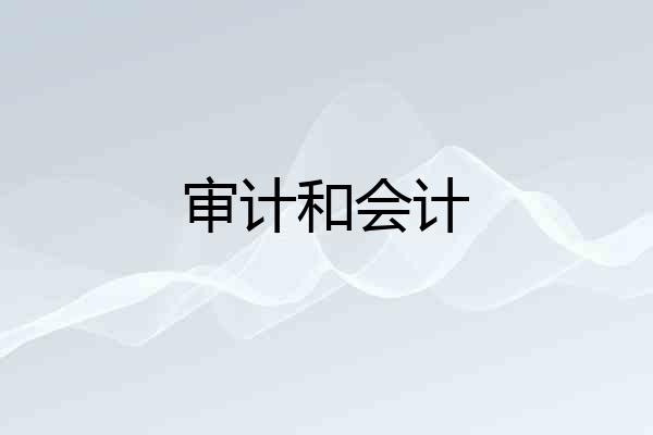 审计和会计