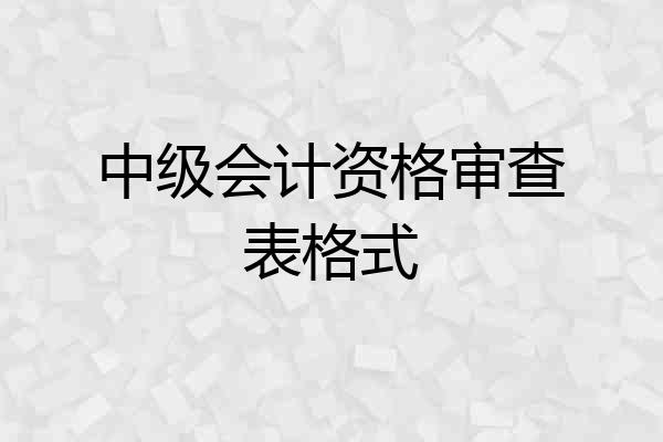 中级会计资格审查表格式