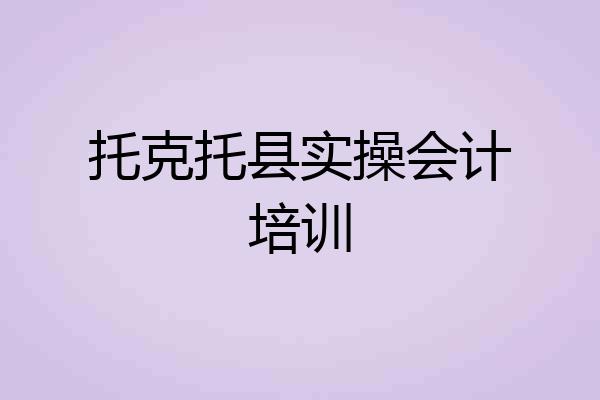 托克托县实操会计培训