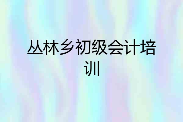 丛林乡初级会计培训