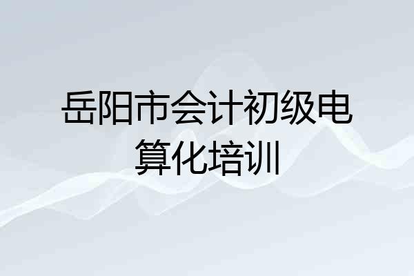 岳阳市会计初级电算化培训