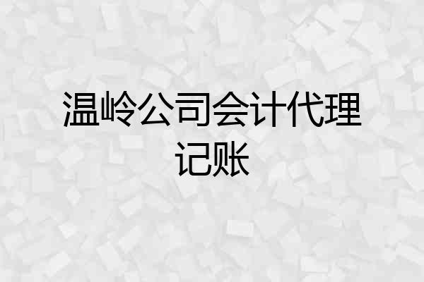 温岭公司会计代理记账