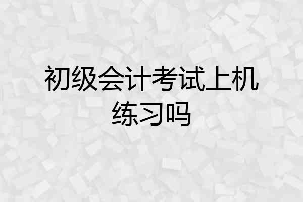 初级会计考试上机练习吗
