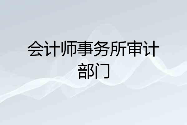 会计师事务所审计部门