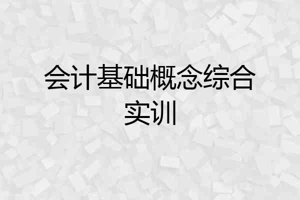 会计基础概念综合实训