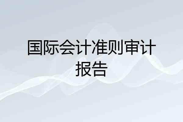 国际会计准则审计报告