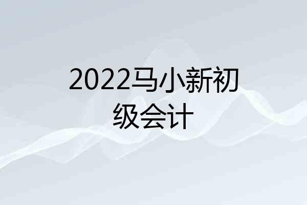 2022马小新初级会计