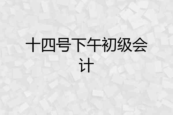 十四号下午初级会计