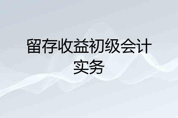 留存收益初级会计实务