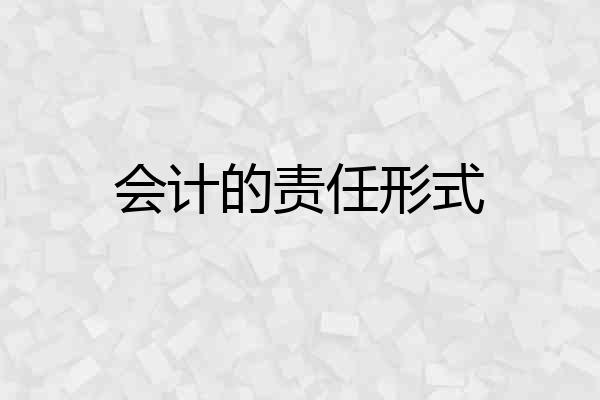 会计的责任形式