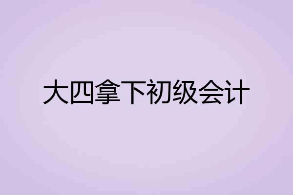 大四拿下初级会计