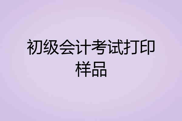 初级会计考试打印样品