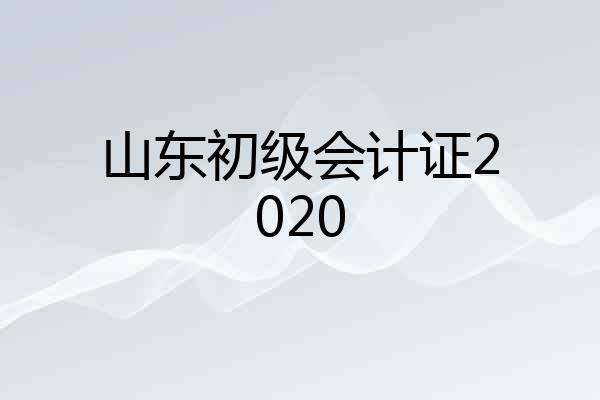 山东初级会计证2020