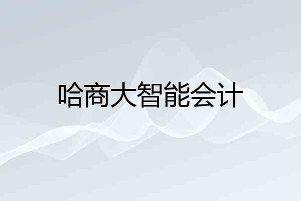 哈商大智能会计