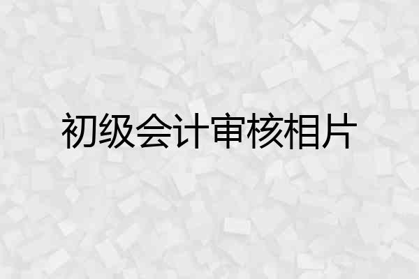 初级会计审核相片