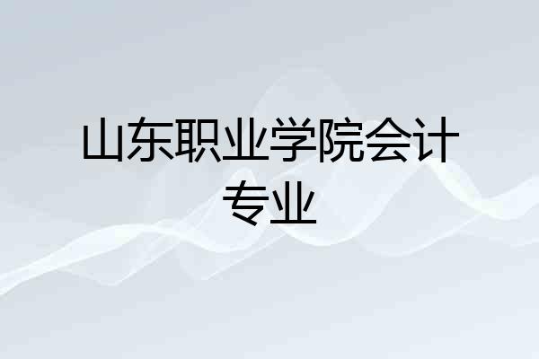山东职业学院会计专业