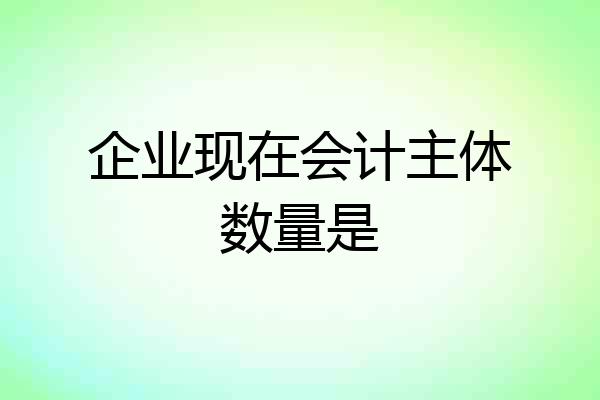 企业现在会计主体数量是
