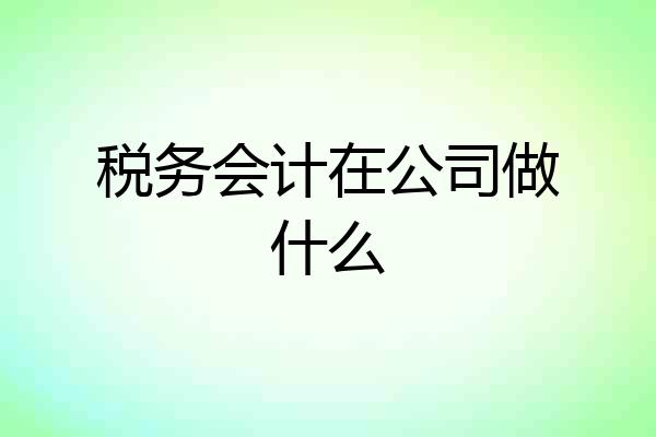 税务会计在公司做什么
