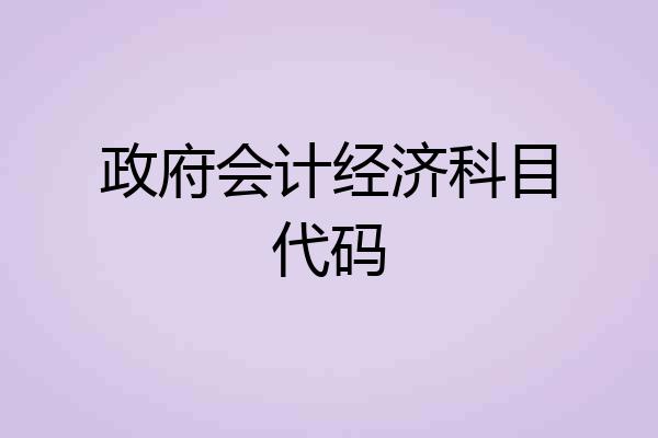 政府会计经济科目代码