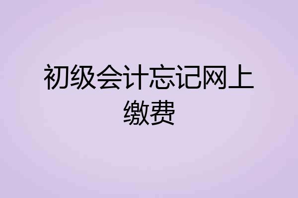 初级会计忘记网上缴费