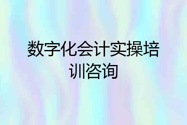 数字化会计实操培训咨询