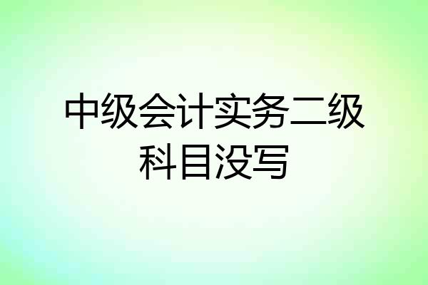 中级会计实务二级科目没写