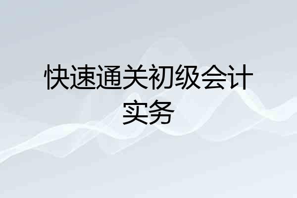快速通关初级会计实务