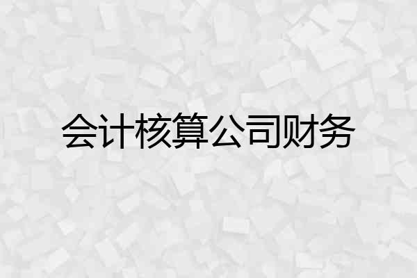 会计核算公司财务