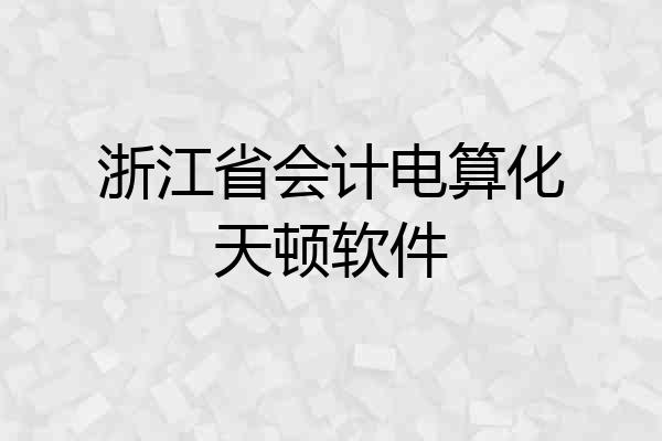 浙江省会计电算化天顿软件