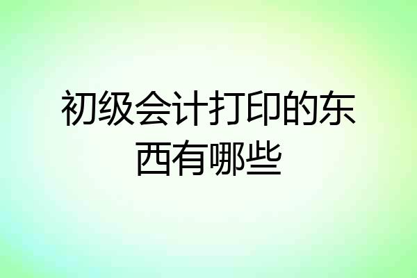 初级会计打印的东西有哪些