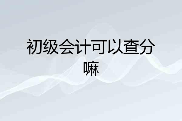 初级会计可以查分嘛