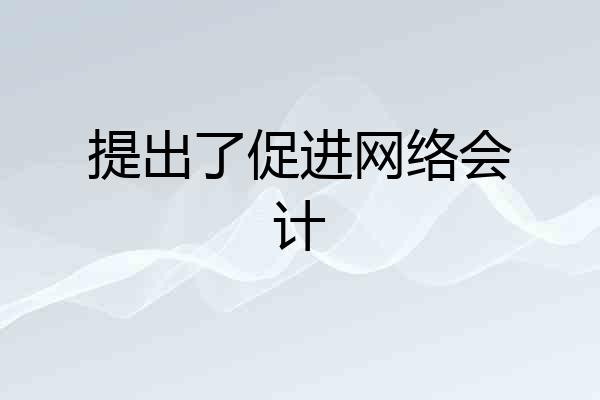 提出了促进网络会计