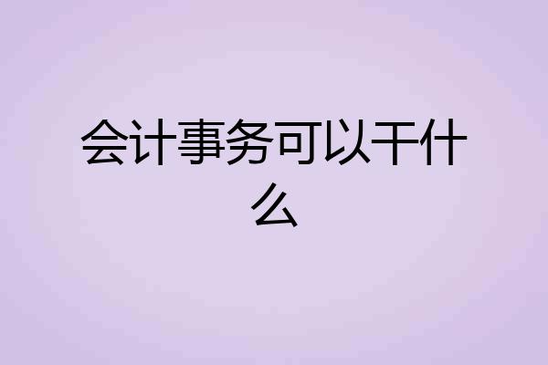 会计事务可以干什么