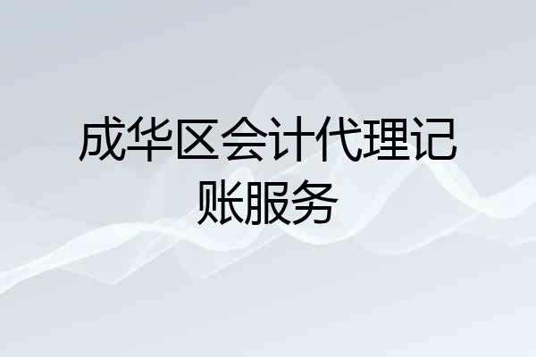 成华区会计代理记账服务