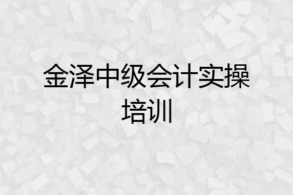 金泽中级会计实操培训