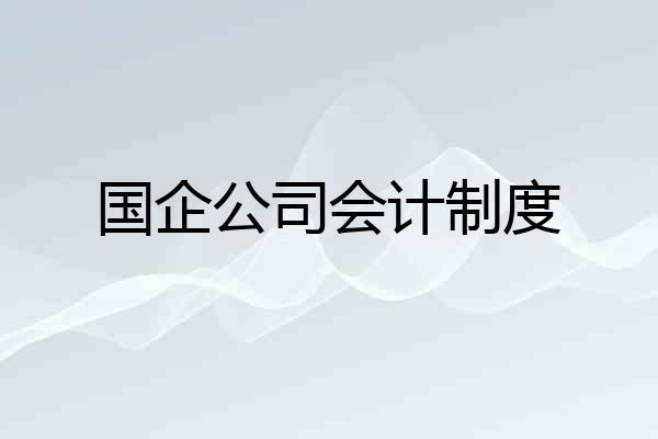 国企公司会计制度