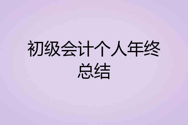 初级会计个人年终总结