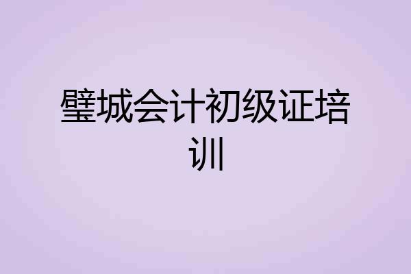 璧城会计初级证培训