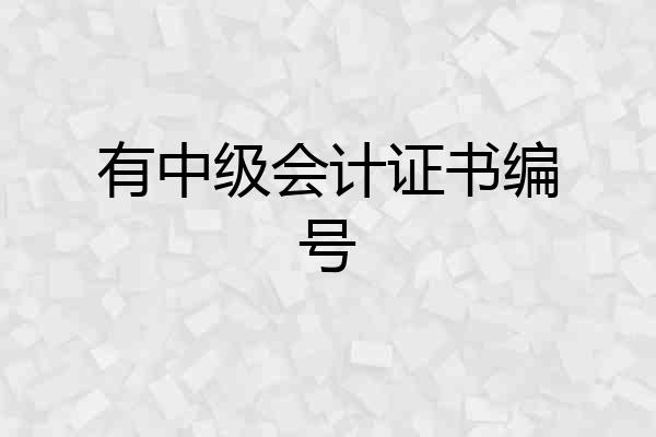有中级会计证书编号