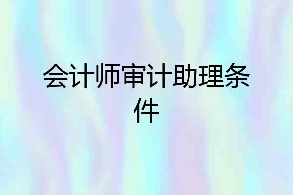 会计师审计助理条件