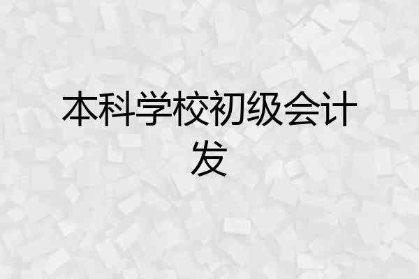 本科学校初级会计发