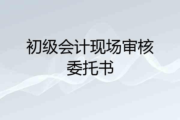 初级会计现场审核委托书
