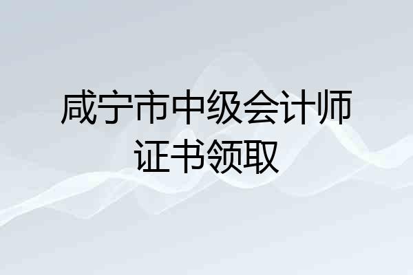 咸宁市中级会计师证书领取