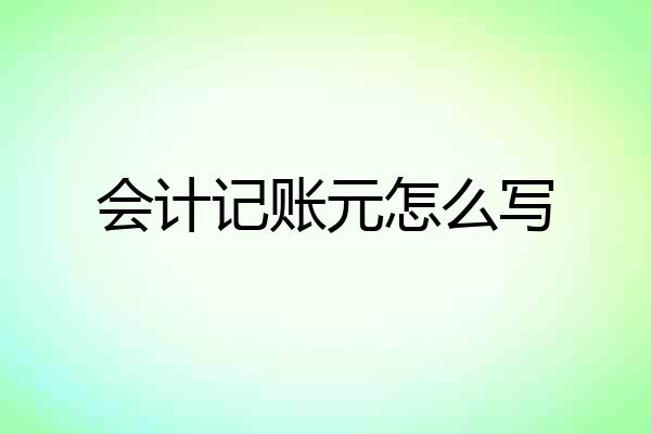 会计记账元怎么写