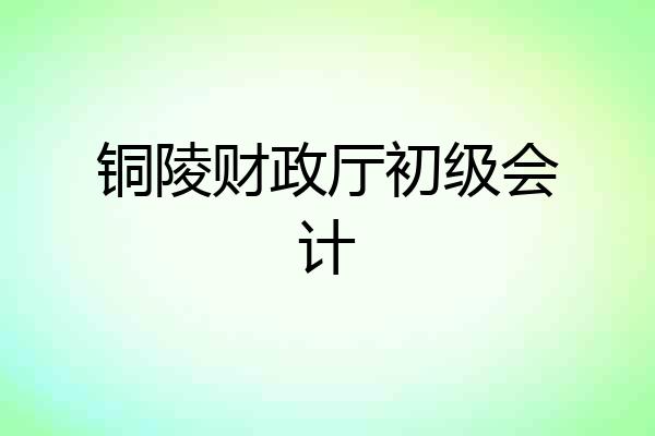 铜陵财政厅初级会计