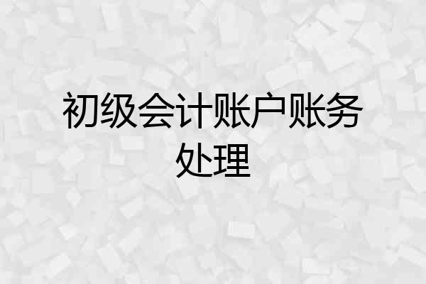 初级会计账户账务处理